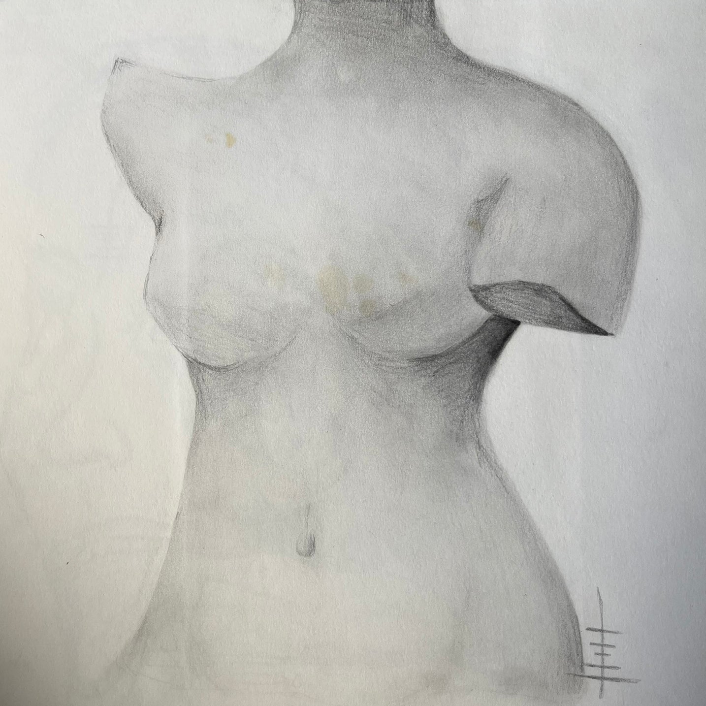 Bleistiftzeichnung Frauenbüste